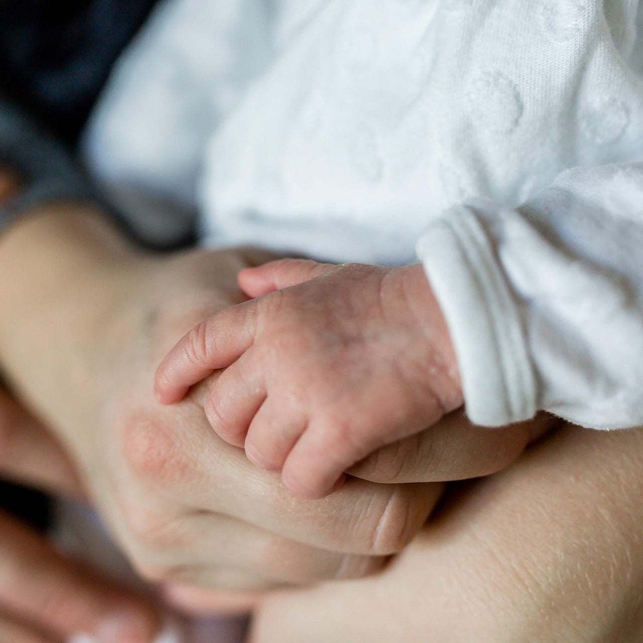 Sanar tus raíces - Volver al origen para florecer